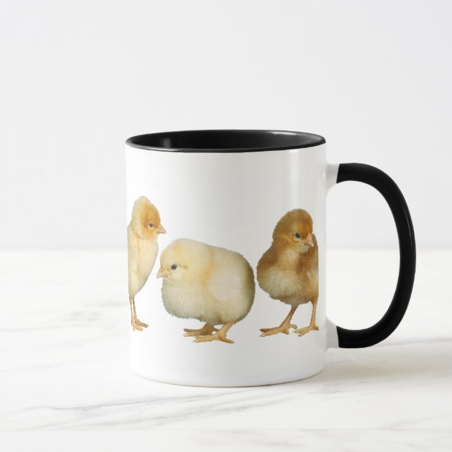 Küken, die Tasse kreuzen (Rechts)