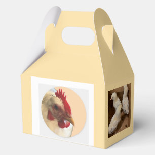Küken Geschenkbox Geschenkschachtel