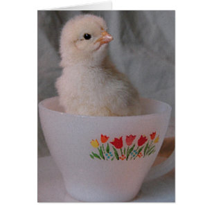 Küken in antiker Teetasse All Occasion Blank Insid