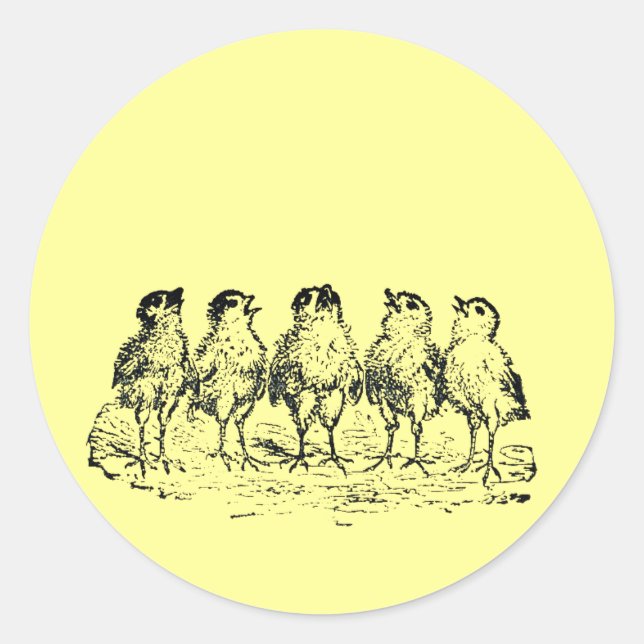 Küken Runder Aufkleber (Vorderseite)