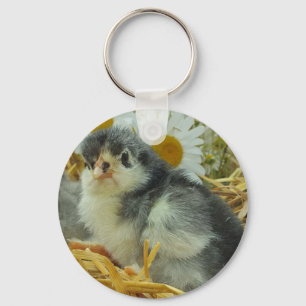 Küken, Tiere, Baby, niedlich, Blume gelb, weiß, Schlüsselanhänger