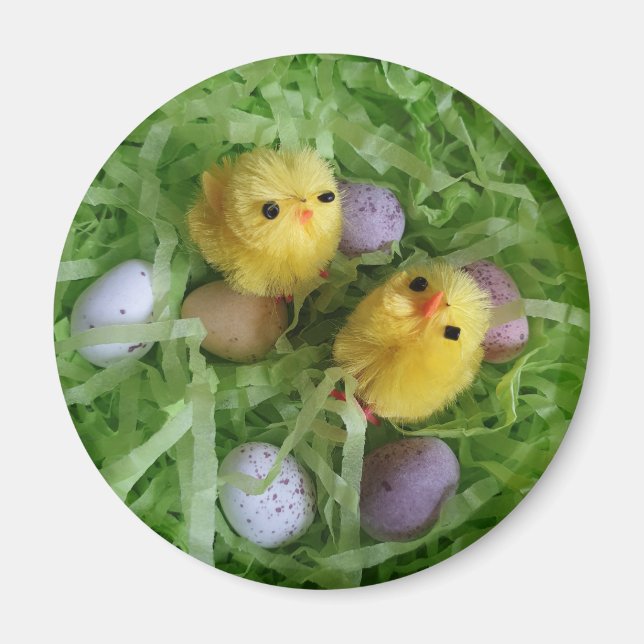 Küken und Eier Magnet (Vorne)