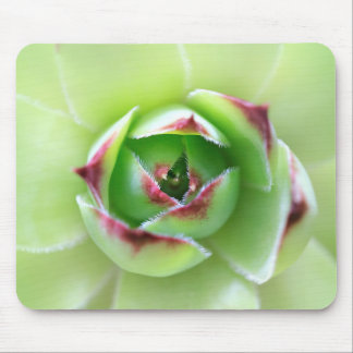 Küken und Hühner Schöne weiche grüne Farbe Mousepad
