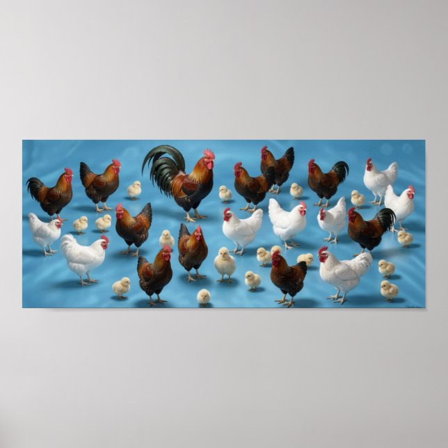 Küken- und Junghahnherde Poster (Vorne)