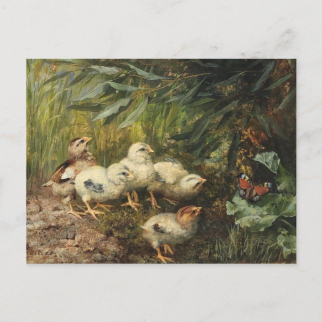 Küken und Schmetterlinge | Franz Xaver Birkinger Postkarte (Vorderseite)