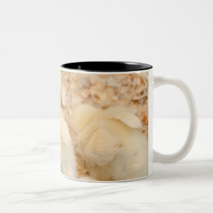 Küken Zweifarbige Tasse