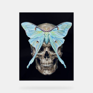 kull et Luna Moth — Memento Mori Impasto Poster