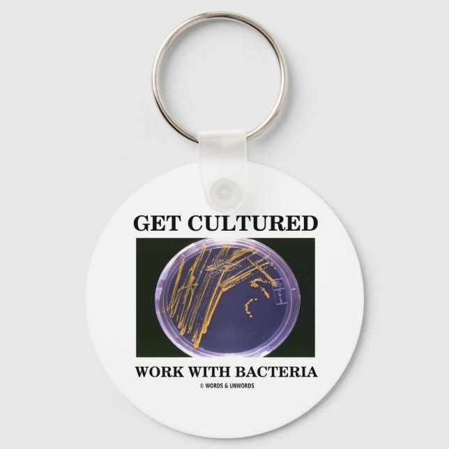Kultivierte Arbeit mit Bakterien (Agar Plate) Schlüsselanhänger (Vorderseite)
