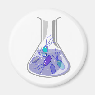 Kultur-Flasche Magnet