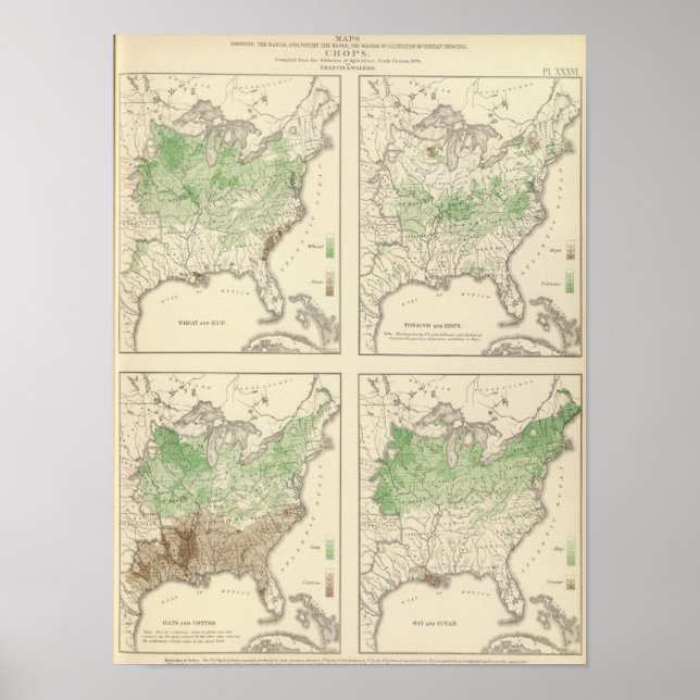 Kulturpflanzen, Statistischer US-Lithograph Poster (Vorne)