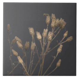 Kulturschätze des Winters auf einer Keramik - C Fliese