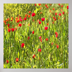 Kulturwiese Mohnlandschaft Poster