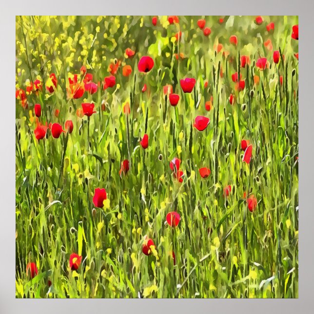 Kulturwiese Mohnlandschaft Poster (Vorne)