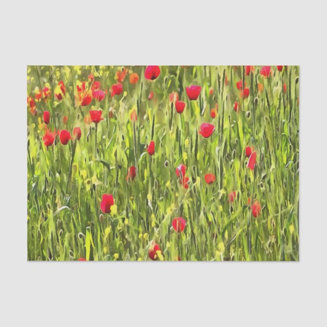 Kulturwiese Mohnlandschaft Seidenpapier (Vorderseite)