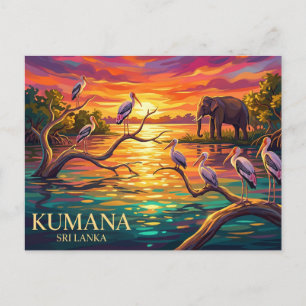 Kumana-Nationalpark Sri Lanka Postkarte