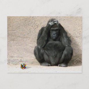 Kümmere dich! postkarte