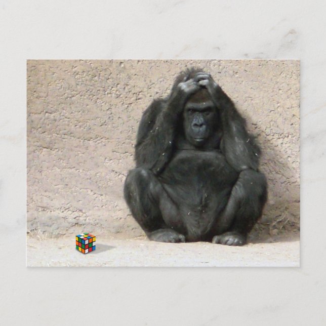 Kümmere dich! postkarte (Vorderseite)