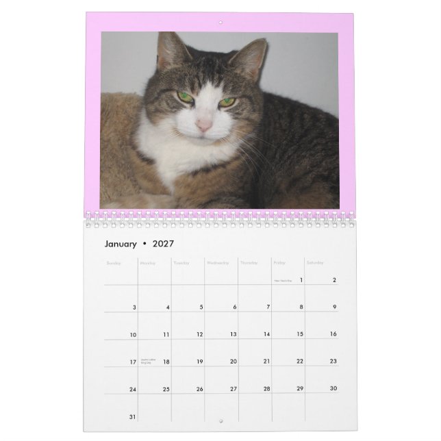 Kümmerte sich über den Wandkalender der (Jan 2027)