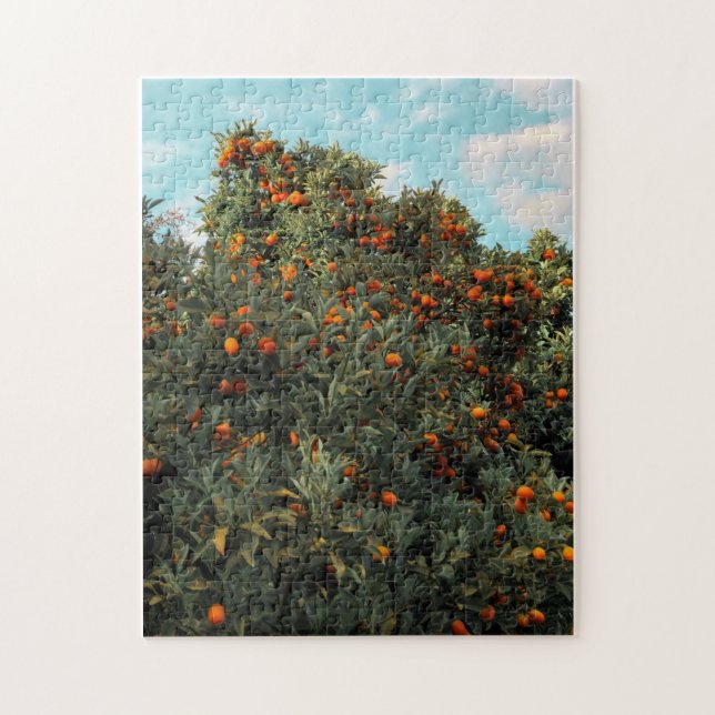Kumquat Tree (Vertikal)