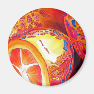 Kumquats-Zitrusfrüchte Magnet