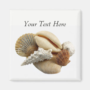 Kundengebundener Mischseashell-Foto-Magnet Magnet