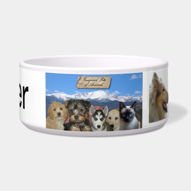 Kundengerecht Napf (Vorderseite)