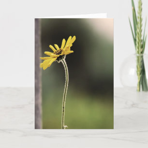 Kundengerechte einzige Blumen-Gruß-Karte Karte