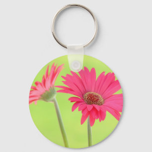 Kundengerechte rosa Gerber Gänseblümchen auf Gr Schlüsselanhänger
