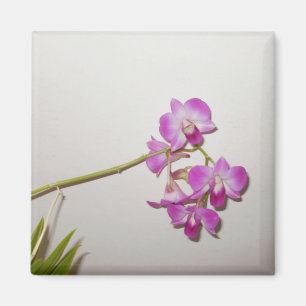 Kundengerechter dekorativer Orchideen-Magnet Magnet