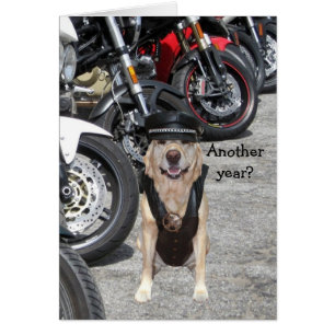 Kundengerechter Radfahrer-Labrador