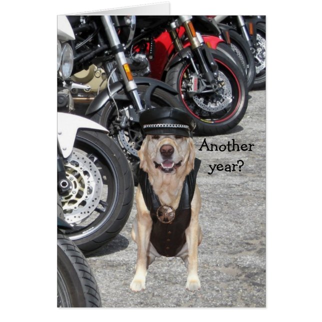 Kundengerechter Radfahrer-Labrador (Vorne)