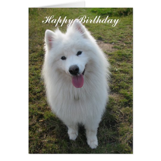 Kundenspezifische Grußkarte Samoyedhundealles Gute