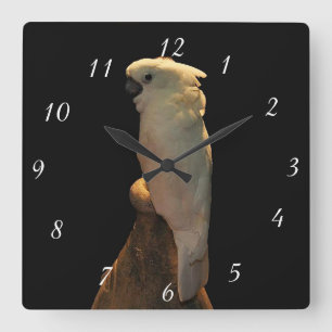Kundenspezifischer Cockatoovogel, der in der Nacht Quadratische Wanduhr