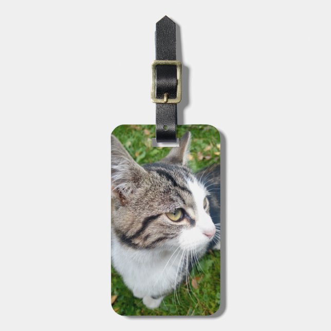 Kundenspezifischer Haustier-Fotoreise-Gepäckumbau Gepäckanhänger (Vorderseite vertikal)