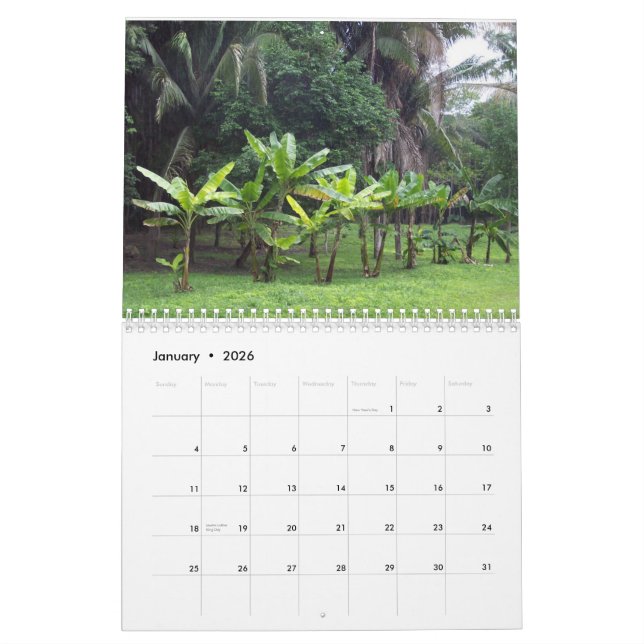 Kundenspezifischer Kalender, der Szenen von Belize Kalender (Jan 2026)