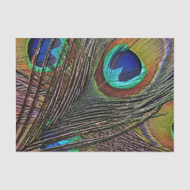Kundenspezifisches 10lb Seidenpapier, PFAU-FEDER Seidenpapier (Vorderseite)