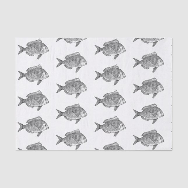 Kundenspezifisches 10lb Seidenpapier, weißer FISCH Seidenpapier (Vorderseite)