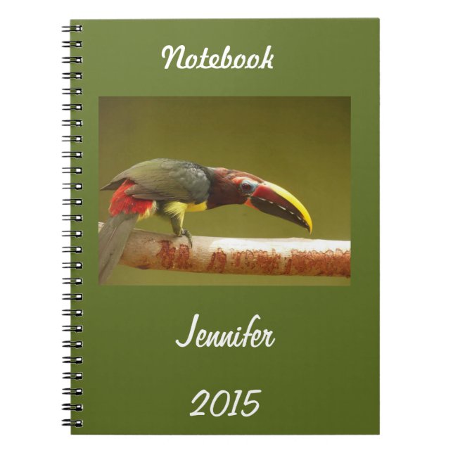 Kundenspezifisches aracari toucan stehendes auf notizblock (Vorderseite)