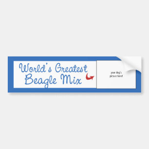 Kundenspezifisches Foto! Weltbeste Beagle-Mischung Autoaufkleber