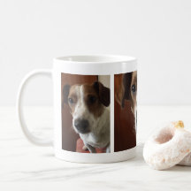 Kundenspezifisches personalisiertes Hunde Foto