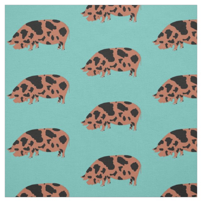Kune Pig auf Aquamarinen Stoff (Muster)