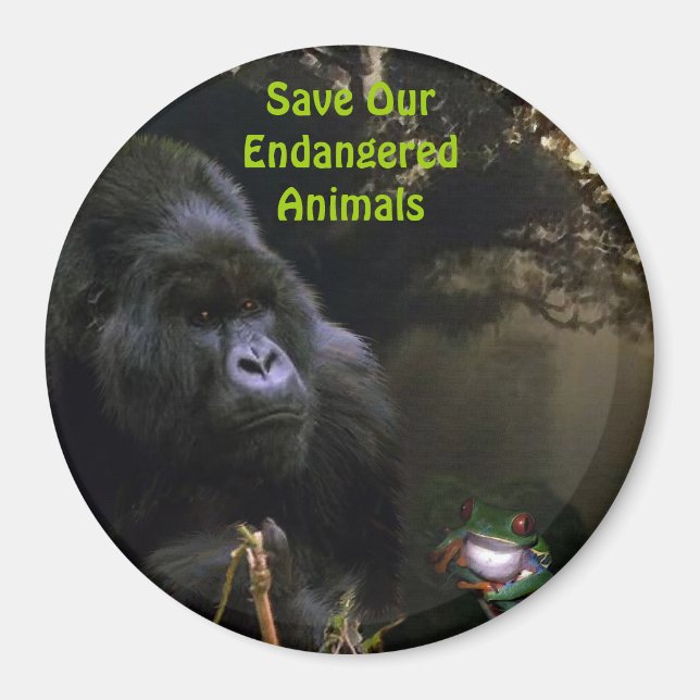 Kunga Mountain Gorilla & Frog Wildlife Art Magnet (Devant)