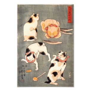 Kuniyoshi vier Katzen-Druck Fotodruck