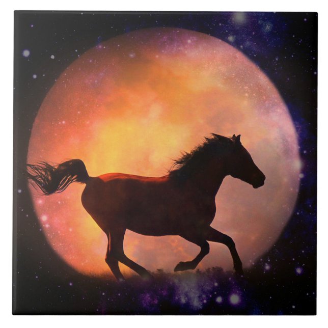 Kunst am Horn und am Mond Fliese (Vorderseite)