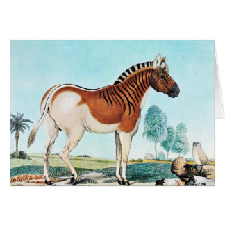 Kunst Aquarellquagga-(Zebra)