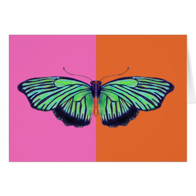 Kunst-Deko Butterly mit colorblock (Vorderseite (Horizontal))