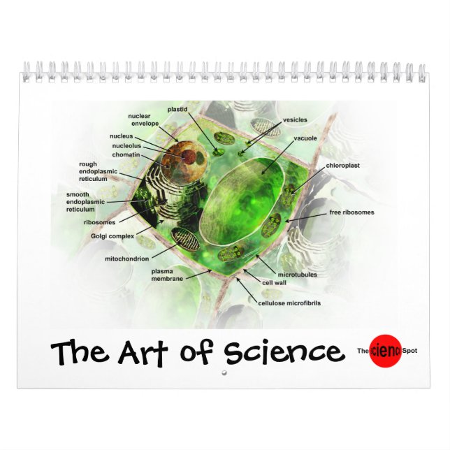 Kunst des Wissenschaftskalenders Kalender (Titelbild)