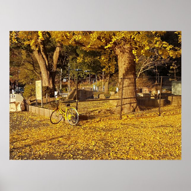 Kunst durch die Linse Poster (Vorne)
