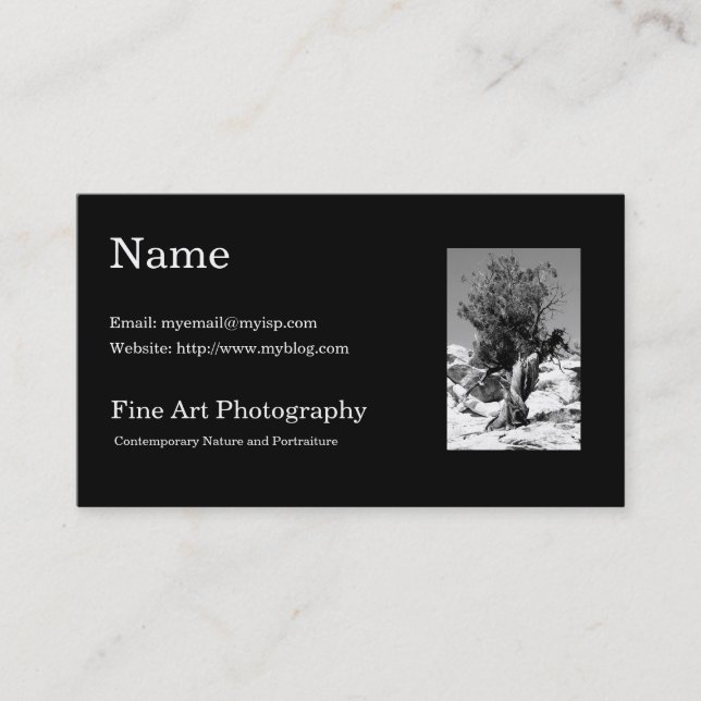 Kunst-Fotografie-Visitenkarte-Schablone Visitenkarte (Vorderseite)