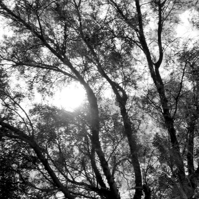 KUNST- UND DESIGN-Schlüsselanhänger Schlüsselanhänger (ART AND DESIGN ECO STYLE )